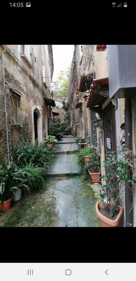La Casa Nel Borgo Apartment Sant'Agata de' Goti Luaran gambar